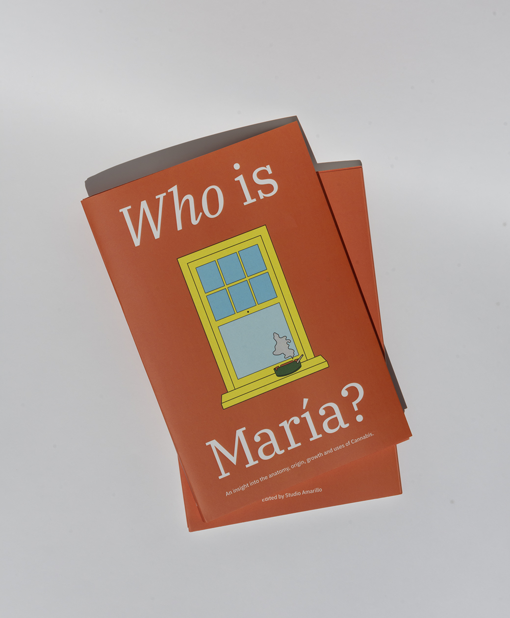 Who is María? | Graphic Elisava degree show 2022